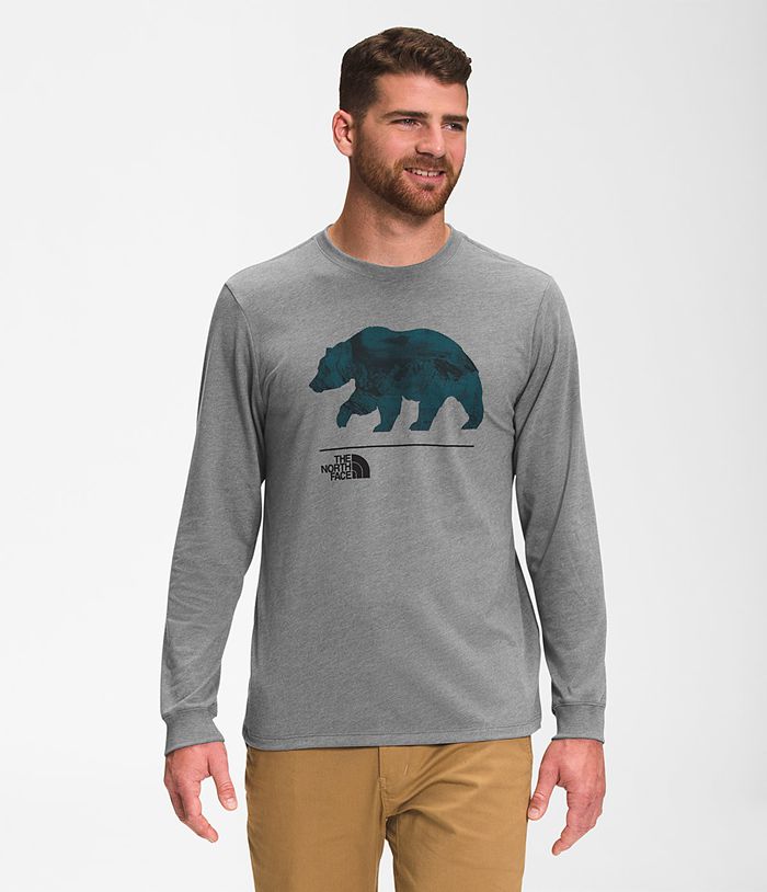 The North Face T-Shirts Bearscape Long Sleeve Grey - Mens - Thailand DYGWZ-6908